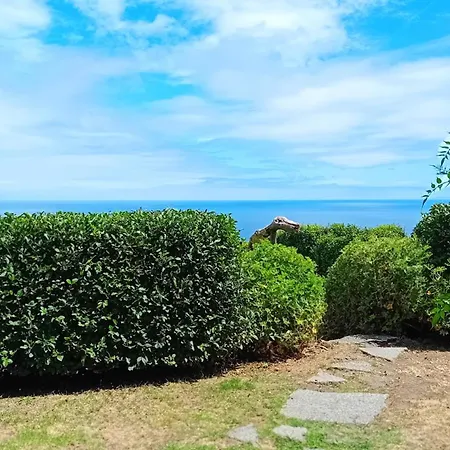 Faial Cedros