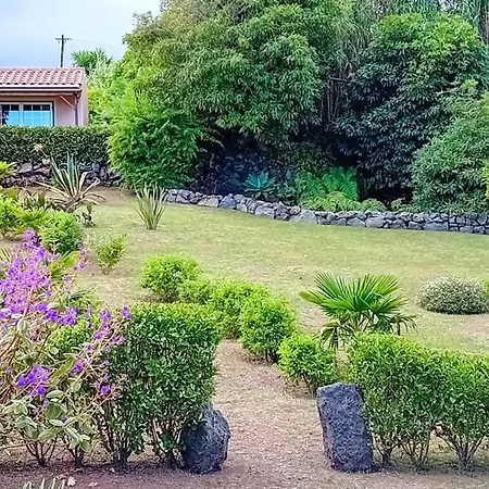 Faial Bed & Breakfast Cedros