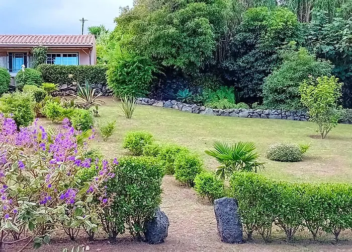 Faial Bed and Breakfast Cedros